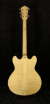 Washburn HB-35N